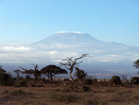 le Kilimandjaro