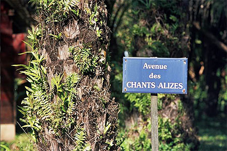 Avenue des CHANTS ALIZES...