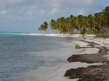 Ile quasi-d�serte de Saona