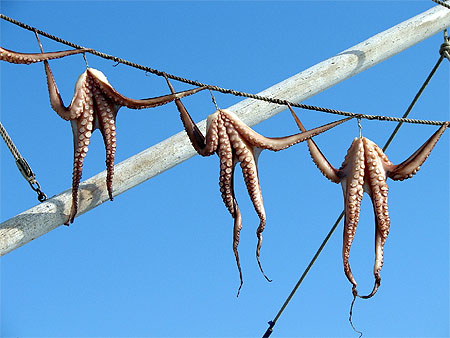 Poulpes en guirlande