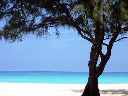 Hawaii Oahu East Cost