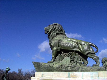 Lion