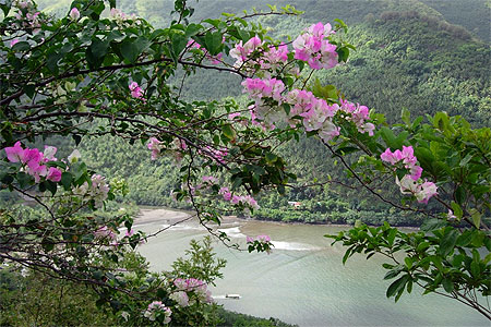 Paradis