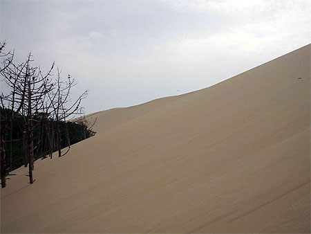Dune du Pyla