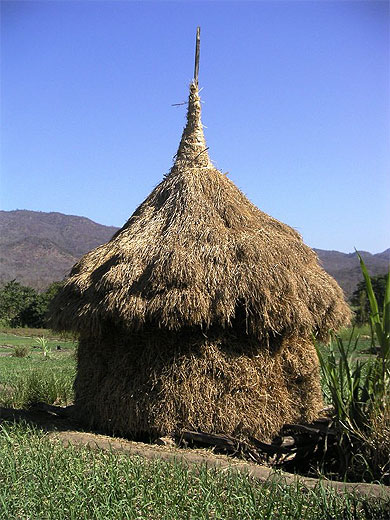 Botte de foin