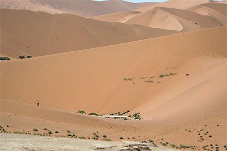 Les dunes du d�sert du Namib