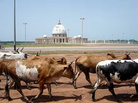 Yamoussoukro 