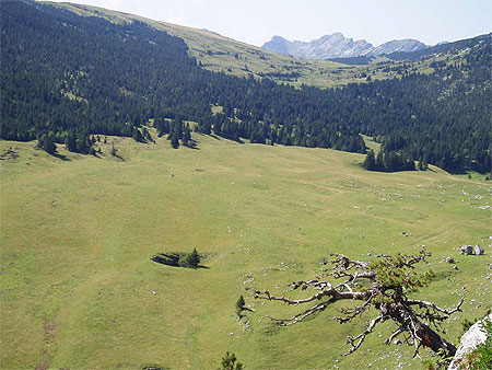 L'Alpette