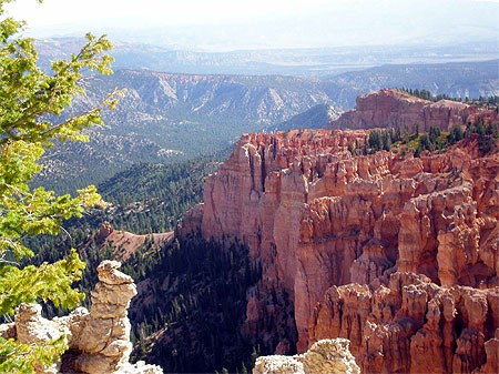 Bryce