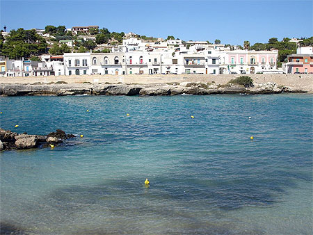 Plage et village au milieu des pin�des