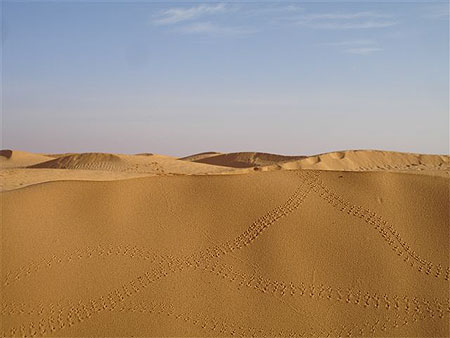 Croisements de route