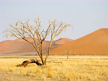 Sossusvlei