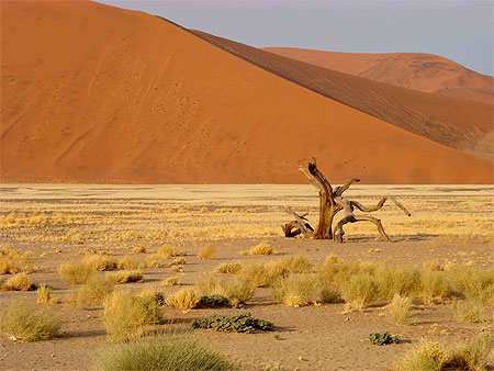 Sossusvlei