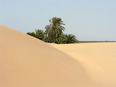 D�sert mauritanien