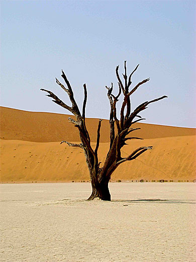 Deadvlei