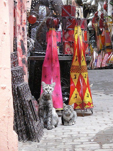 Chats