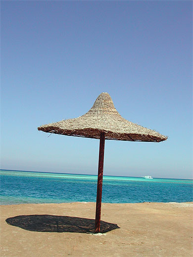 Seul sur la plage...