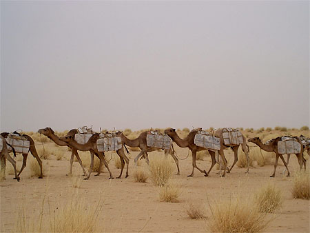 Azalai
