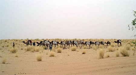 Azalai