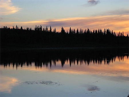 "Onde sonore" form�e par le reflet des arbres dans le Kemijoki