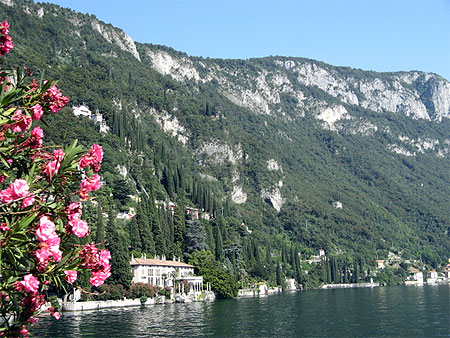 Villa cipresi