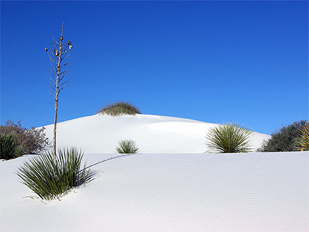D�sert blanc