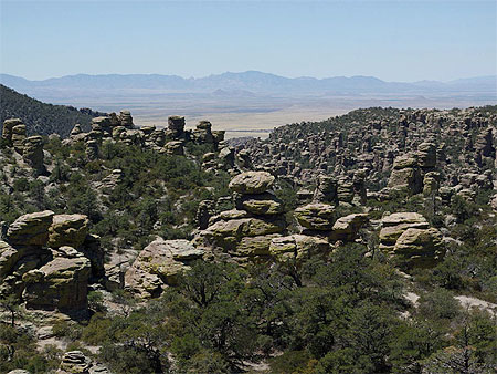 Chiricahua