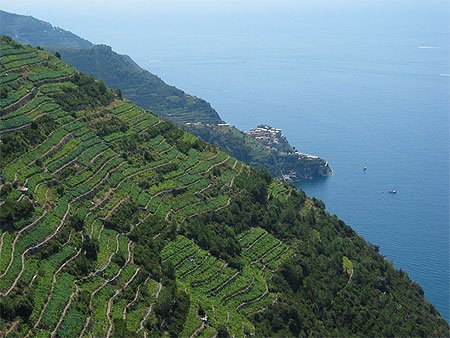 Cinque terre