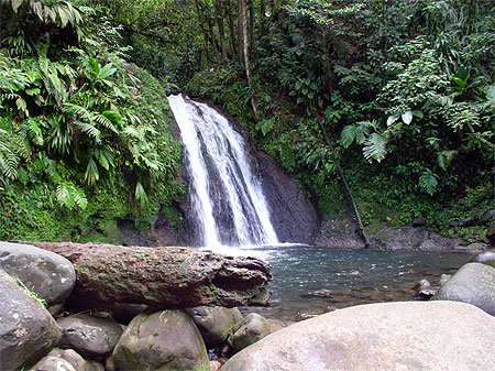 La cascade aux �crevisses