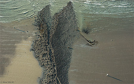 Plage � la hauteur de Wimereux, C�te d'Opale