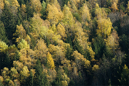 Couleurs d'automne