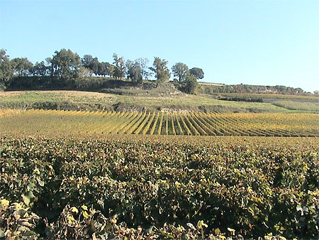 En arrivant � St Emilion