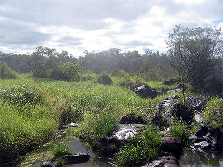 Humidit� d'Iguazu