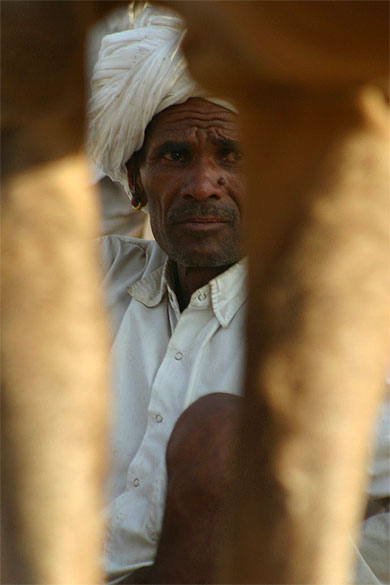 Lors de la foire aux chameaux de Pushkar