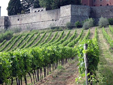 Ch�teau Brolio