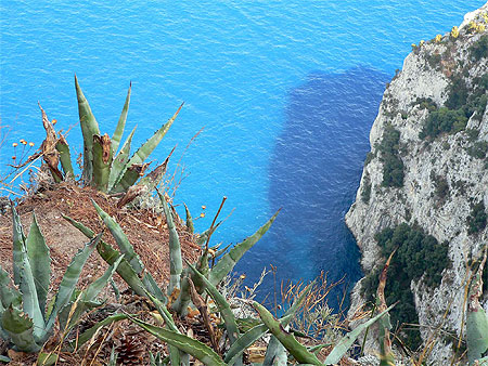 Capri, la c�te