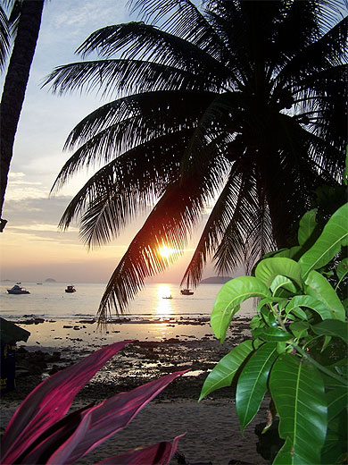 Salang beach sur l'�le de Tioman