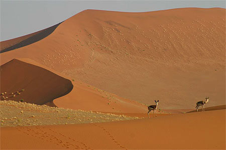 Dunes de Sossusvlei