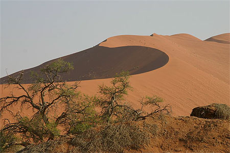 Dunes de Sossusvlei