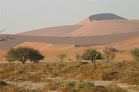 Dunes de Sossusvlei