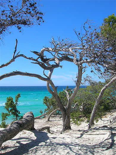 Plage de Saleccia
