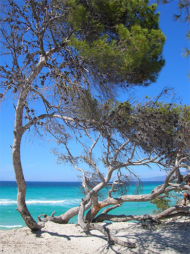 Plage de Saleccia
