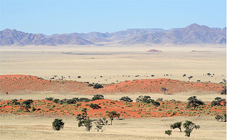 D�sert de Namibie