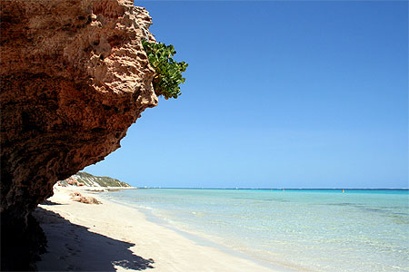 Un petit coin de paradis