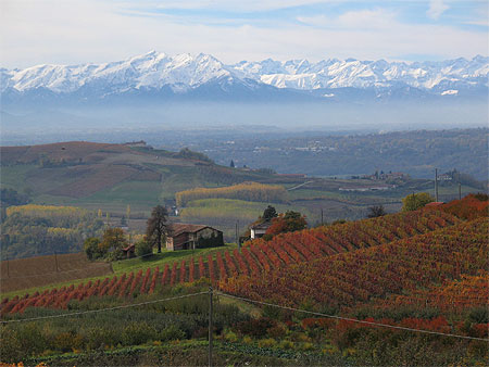 Automne dans les Langhe