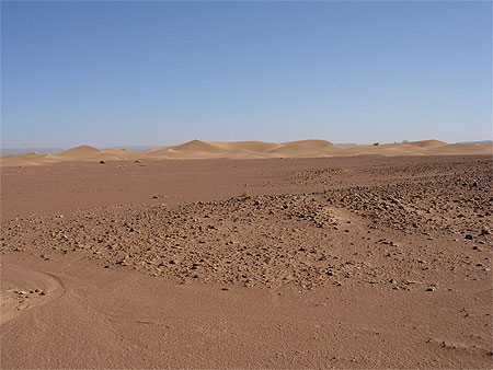 Hamada et dunes