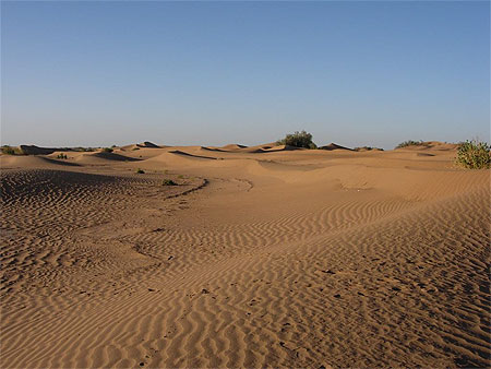 Coucher de soleil dans les dunes