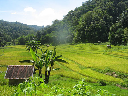 Paysage minang