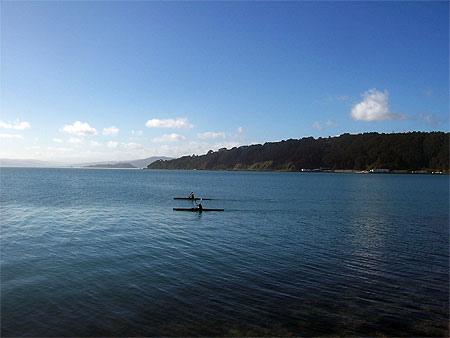 Deux cano�s dans la baie de Wellington