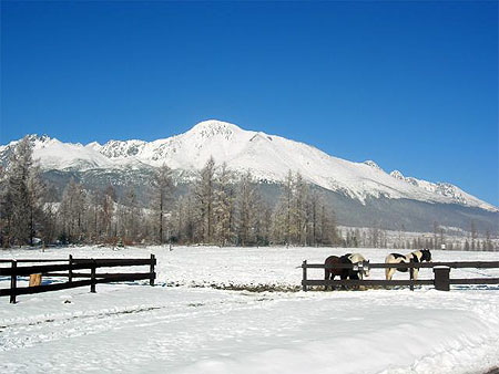 Dans la montagne